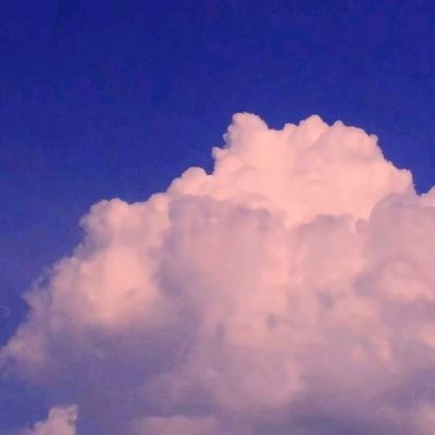 鸡仙pro辅助下载