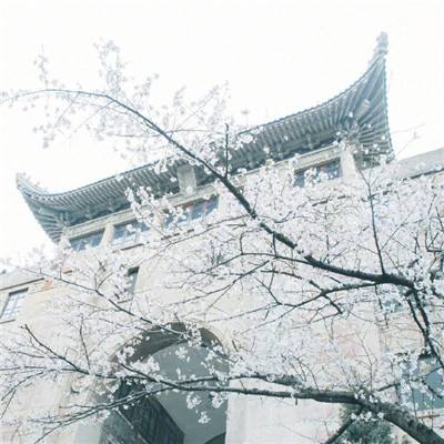 战斗泰坦游戏下载
